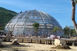vignettes-site (2)